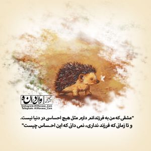 علی نوایی مربی و مدرس مهارت های تربیتی